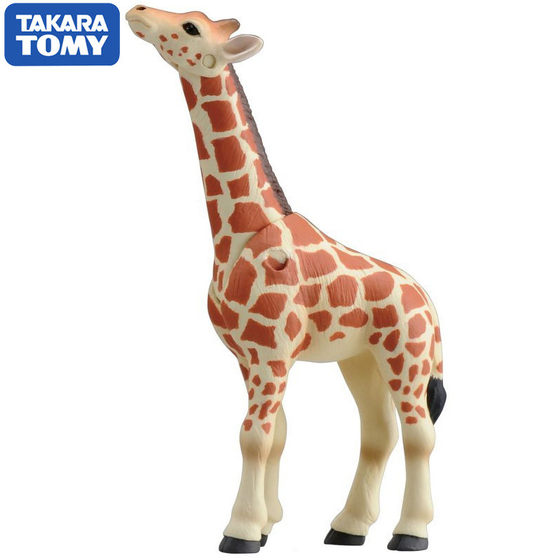 Original Takara Tomy Ania Gira – Kids First Education Bewertung und Preis